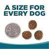 NutriSource Adult Dry Dog Food, Chicken and Rice, 4LB