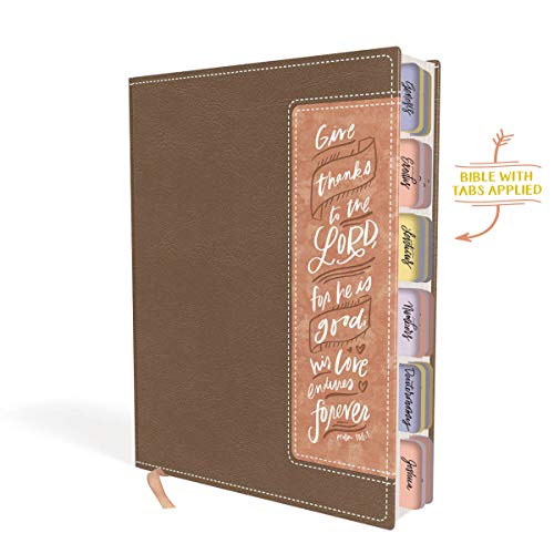Niv, Beautiful Word Bible, Updated Edition, Peel/Stick Bible Tabs, Leathersoft, Brown/Pink, Red Lett