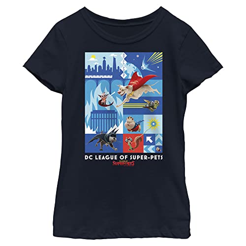 Image of DC Comics Girls' Pets Blocks