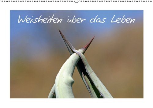 Weisheiten über das Leben (Wandkalender 2014 DIN A2 quer): Weisheiten über das Leben und Fotografie vereint (Monatskalender, 14 Seiten)