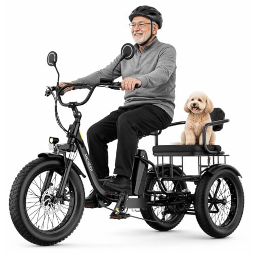 Image of ANCHEER Electric Tricycle for Adults, 20 inch Fat Tire Electric Trike, 15.5MPH E Trikes for 60+ Seniors, 3 Wheel Electric Bike, 864Wh Removable Battery, LCD, Rear Differential, 2 Seater, Basket