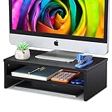 ENDOZER Computer Monitor Riser Stand 16.5” 2-Tier Computer Monitor Shelf for Home, Office,...
