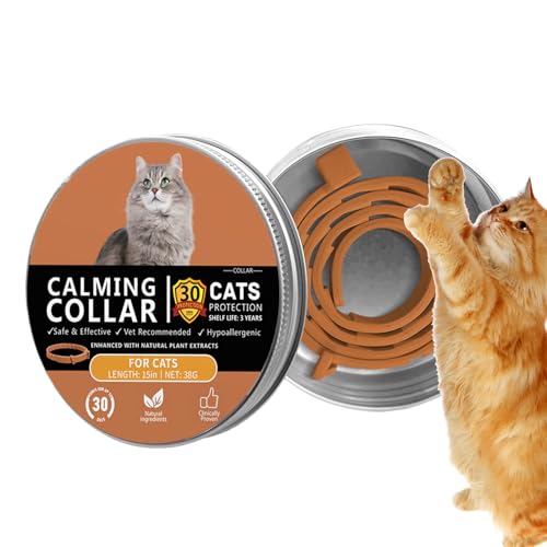 Tuwlopyu Lp bNX J[,XgX [t lbNX,4T  AWX^u L XgX J[ -  q ^ ^  O[~O g[jO  ΍ ƒ S