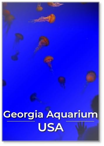 Photomagnet Georgia Aquarium, USA, Fridge Magnet