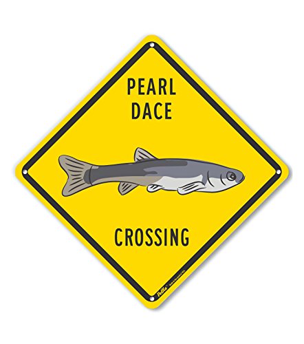 Panneau Pearl Dace Crossing plastique robuste jaune résistant 10x10