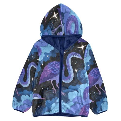 Night Birds and Snake in Clouds Toddler Fleece Jacket Girl Boys Hooded Fleece Jacket Coat Warm Outwear Zip-up 3-10T