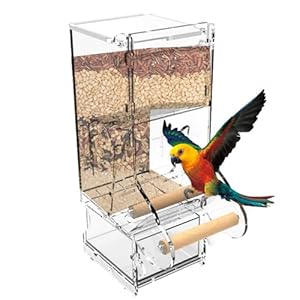 iFCOW Automatic Bird Feeder, Bird Cage Accessories No Mess Acrylic Clear Parakeet Treats Seed Container for Cage Cockatiel Finch