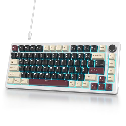 iTastatur Tastiera da gioco cablata al 75%, supporto con guarnizione sostituibile a caldo, interruttore bianco, tastiera meccanica TKL a 82 tasti, NKRO Creamy per PC, laptop, Windows Gamer