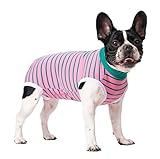 Meta Living Dog Surgery Suit for Female Male, Striped Dog Pajams for Small Medium Dogs, Anti-Licking Spay Suit Jumpsuit for Pets (PinkGreen, Small)