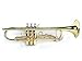 Benjamin Adams TP100 Beginner Bb Trumpet Outfit