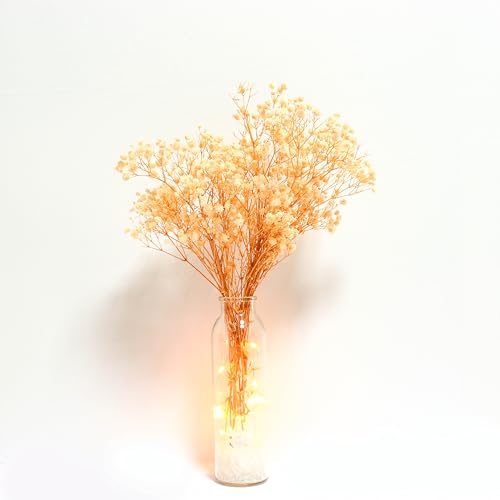 Ramo de flores secas Gypsophila natural 2500+ blancas miniatura 1