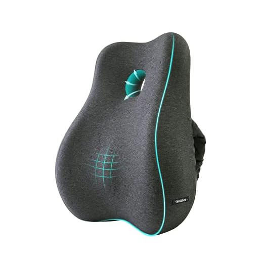 Lumbar Support Pillow Cover Ergonomic Design Orthopedic Backrest for Back Pain Relief Memory Foam Back Support for Office Chair Computer Chair Car Seat Recliner and Couch (Dark Gray)