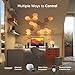 Nanoleaf Elements Wood Look Smart Wall Lights, Hexagon LED Wall Lights Work with Alexa Google Assistant, Home Wall Decor for Living Room with Music Sync, Ambient White 1500-4000K, Expansion 3 Panel