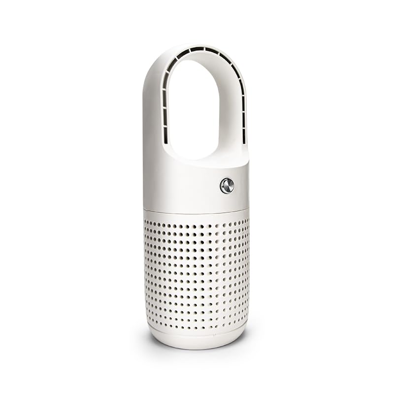 Small Air Purifier for Car & Dorm