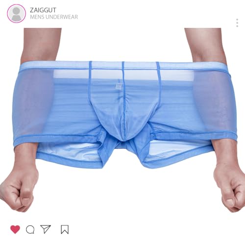 Mens See Throug Underwear Ultra Sheer Boxer Briefs with Bulge Pouch2