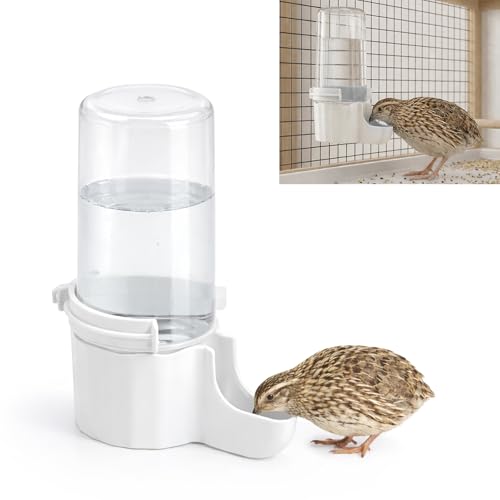 Quail Chick Waterer with Anti-Drowning Shallow Tray 16.6 fl oz Automatic Gravity Button Quail Waterer Hanging or Free-Standing Bird Water Dispenser for Wire Mesh Cages and Brooders (White)