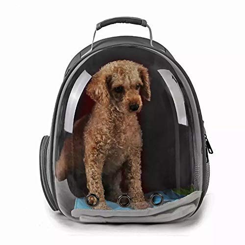Woofy Pet Transparent Cat Carrier Backpack Puppy Kitty Breathable Carriers for Travel Capsule Backpack (Color May Vary) (bag) (B09DTCYVVC) Amazon Price History, Amazon Price Tracker