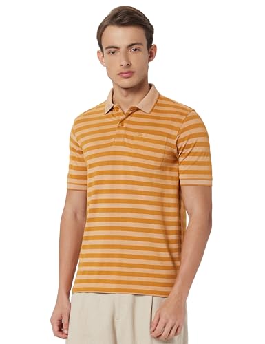 Image of Peter England Men's Cotton-Polyester Blend Striped Polo T-Shirt | Casual Wear | Durable & Trendy