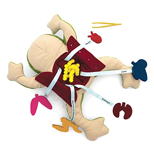 Image of KiwiCo Froggie Lab Dissection Plush Toy | 5-Piece Organ Anatomy Learning Activity | Interactive Biology STEM Stuffed Animal for Kids Ages 3+ - Art & Science Gift