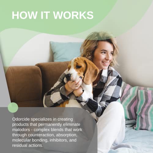 Odorcide Odor Eliminator Concentrate: Odor Eliminator For Strong Odor On Carpets, Hardwood & More - Smoke, Sweat & Pet Odor Eliminator For Home W/Non-Enzymatic Formula - Fresh Scent - 16 Oz #TOP4