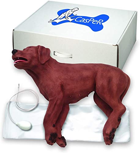 Simulaids 1020264 Maniquí BLS Perro Casper the CPR Dog Primeros Auxilios Veterinario