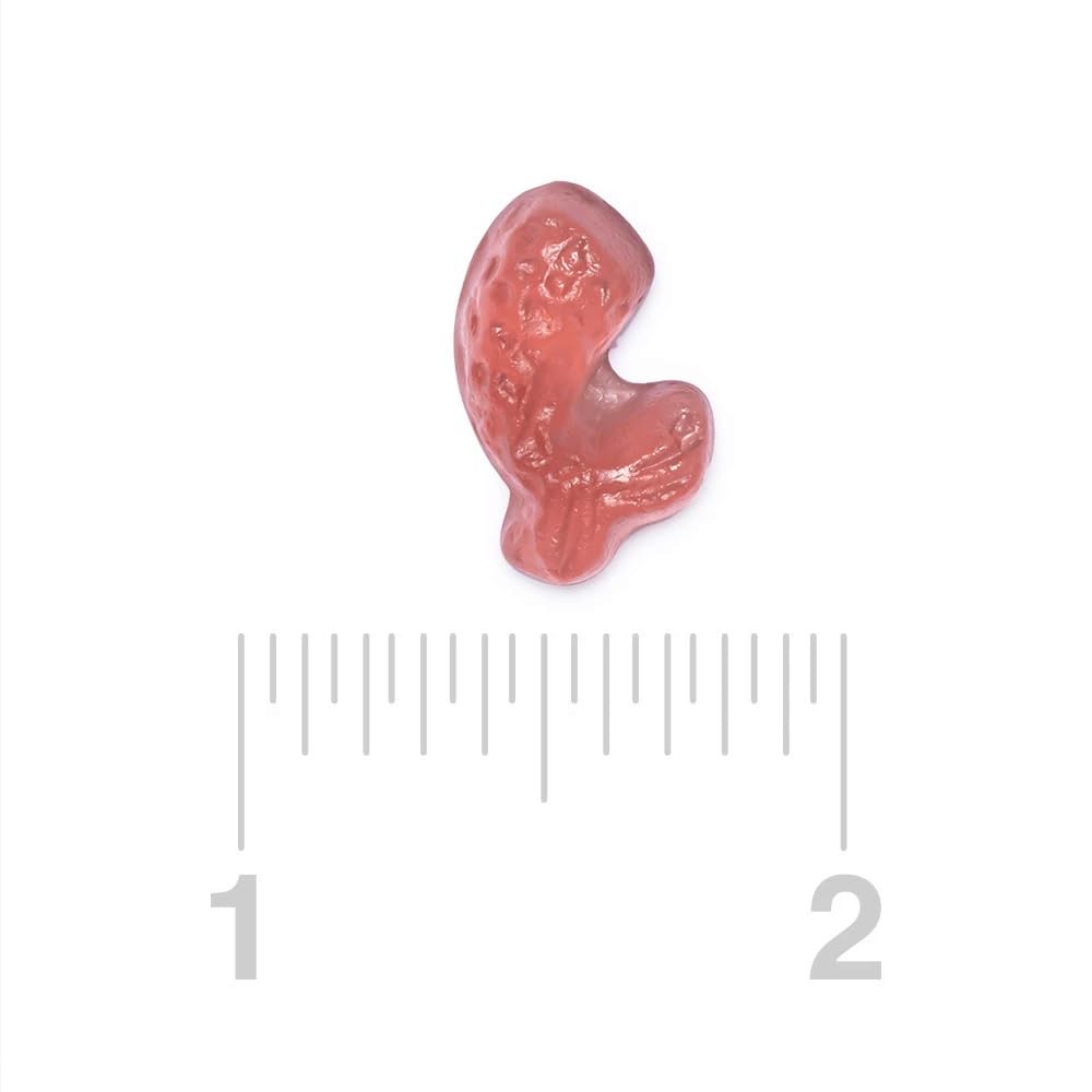 Bayside Candy Gummy Mermaid Tails Candy - Mermaid Tails Gummy Candy (2LB)