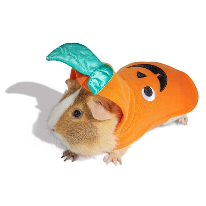 Bootique Jack-o-Lantern Costume