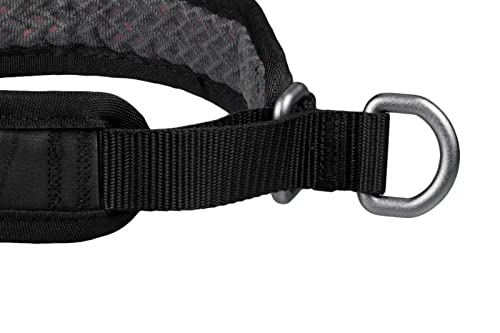 Non-stop dogwear Rock Collar 3.0 orange |157| Halsband mit Zugstopp- Das Bequeme, Größe:40