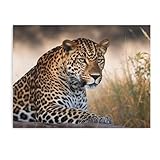 Facile à accrocher (peinture encadrée) : cette toile est emballée dans une boîte en carton avec un crochet sur chaque cadre intérieur en bois, qui peut être retiré et accroché après ouverture de la boîte.