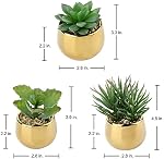 DILATATA Petits suclents artificiels en pots 3 Plantes de faux-succulents réalistes avec des pots en céramique d'or Mignon Mini Faux Plantes Décor pour la maison moderne Bureau Bureau Salle de bains Étagère Décoration