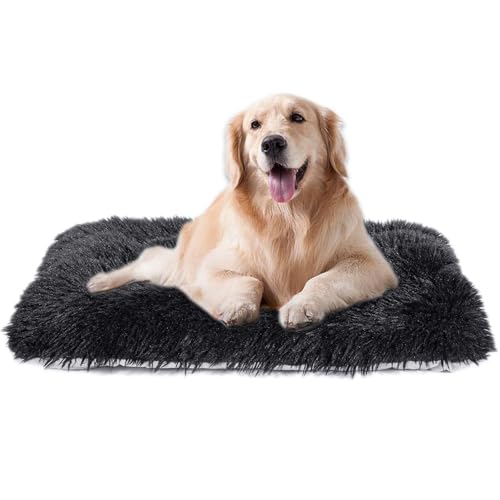 @Ő􂦂錢pxbhAfbNXvbVpN[gpbhƔLxbhA~߃{gpbh}bgA^A^A^pt@W[ybgxbh(ubNA60.98cm x 45.72cm x 7.64cm x 1pbN)