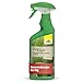 Produktbild Neudorff BioKraft Vitalkur für Buxus & Ilex AF  Anwendungsfertiges Spray vitalisiert geschwächte Buchsbäume durch Schädlinge, Krankheiten, Frost und Trockenheit, 500 ml