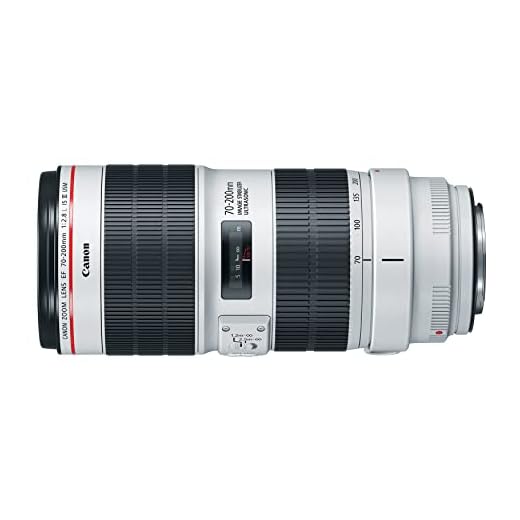 Canon EF 70-200mm f/2.8L IS III Lens
