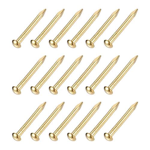 METALLIXITY Small Nails (2x20mm) 60pcs, Brass Tiny Hardware Nails - for Household Woodworking Brass Tone