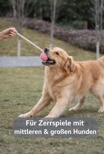 Wauzebacke Hundespielzeug, Tennisball mit Seil 32cm in verschiedenen Pastellfarben, interaktives Wurf- und Zerrspielzeug, Zahnpflege, langlebig (Hellblau)
