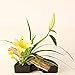 2Pcs Flower Vase Suiban Cut Flower Arranging, Black