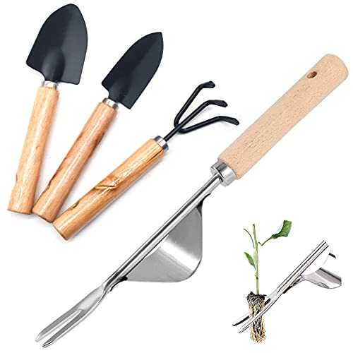 Qixuer 1 Piezas Extractor Manual de Malas Hierbas,Extractor de Malas Hierbas Jardinería de Acero Inoxidable Herramientas de Desmalezado con 3 Piezas Pequeña Pala para Jardín Césped Patio