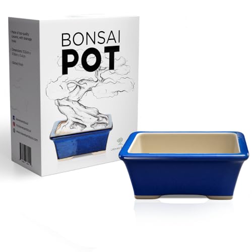 Glazed Ceramic Bonsai Pot - Ceramic Planter for Succulents and Small Plants...