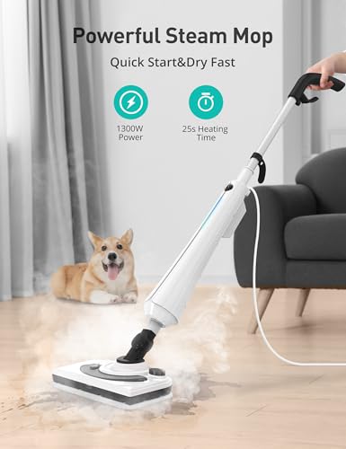 Industrial Steam Cleaner for Home