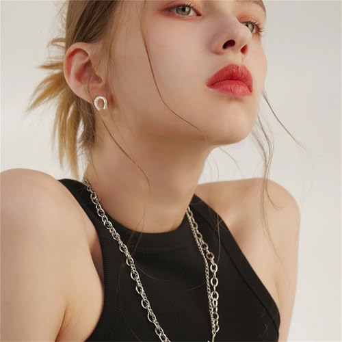 925 Silver Horseshoe Horse Stud Earrings for Women Unique Lightweight Cubic Zirconia Lucky Horseshoe Stud Earrings Animal Western Earrings3