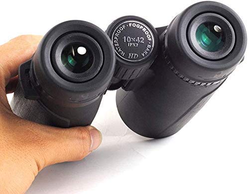Binoculares turismo al aire libre y monocular gran angular 10x42 HD 2