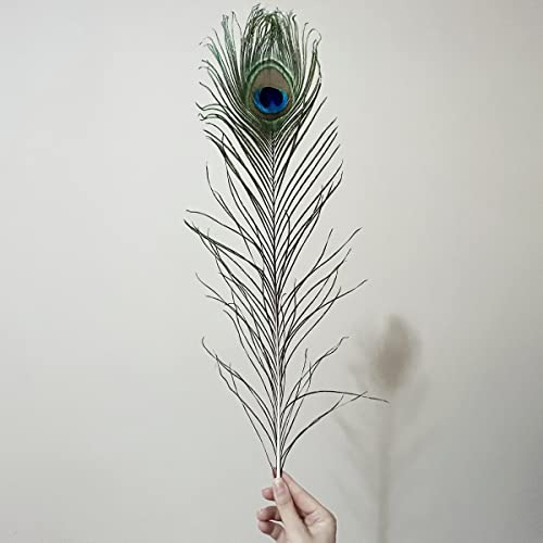 10Pcs Long Natural Peacock Feathers 16-18 Inch For Tall Vases Home Decor Centerpieces Decorations Crafts #TOP2