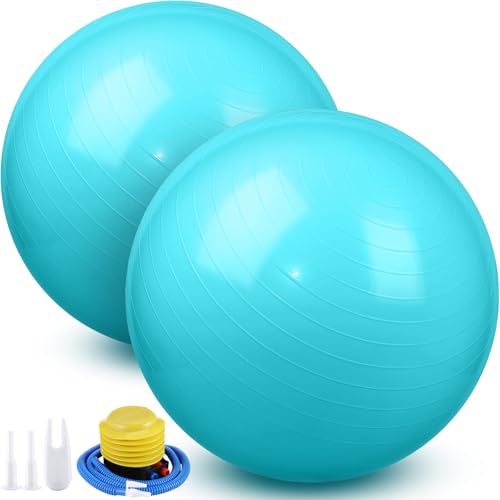 Image of Leyndo 2 Pcs Exercise Ball Yoga Ball with Pump 26 Inches / 65 cm for Workout Pregnancy Stability Anti Burst Birthing Fitness Improved Posture, Balance, Yoga, Pilates, Training
