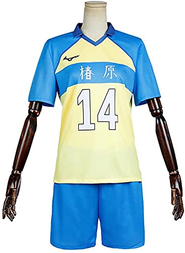 ハイキュー‼︎/大王及川　コスプレ衣装 Amazon.co.jp: [YBB-悦]ハイキュー!! 青葉城西高校 あおばじょう