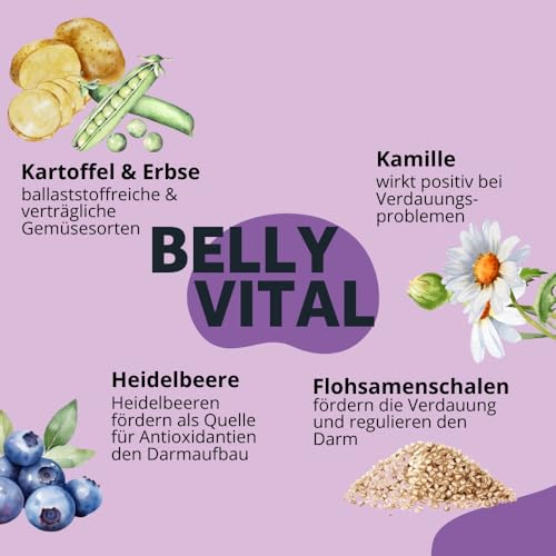 BugBell Softe Knabbersticks für Hunde 60g, Verdauung & Darmflora, Fettreduziert & Vegan, bei Problemen mit Durchfall und Erbrechen, Heidelbeere, Flohsamenschalen, Kamille
