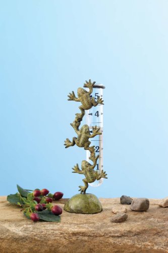 Ancient Graffiti Cast Brass Frog Rain Gauge