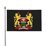 Tamaño de la bandera: 3x5 pulgadas (90 × 150 cm) Los indicadores de tamaño más grande expresan mejor sus emociones, la bandera tiene un significado simbólico único.