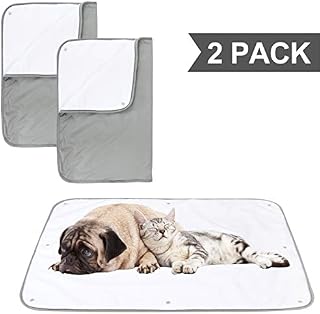 Paw Legend Multiple Sizes Waterproof Dog Blanket for Couches,Sofa,Bed and Car | Pet