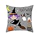 xiamenchangketongmaoyi Funda cojin Fundas de Cojines Manta Pesadilla Antes de Navidad Halloween Primer Protectores Continental Fundas de Almohada Funda de Almohada 45x45,35