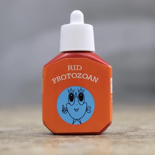 RID PROTOZOAN �x�^�p �q���̍Đ��E������ �l�R�|�X�Ή� �S��